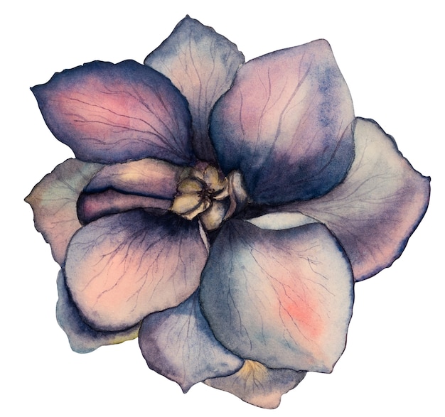 Beau dessin à l'aquarelle de fleurs aux couleurs vives. Fermer