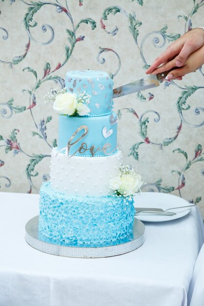 Beau et doux gâteau de mariage pour les jeunes mariés