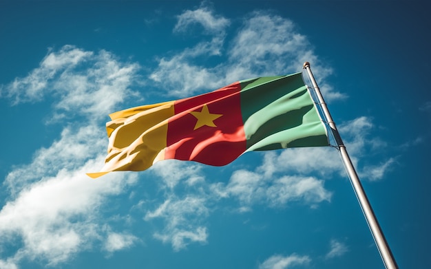 Beau drapeau national du Cameroun flottant à fond de ciel.