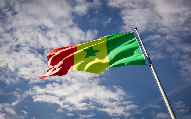 Beau drapeau national du Sénégal flottant sur le ciel bleu