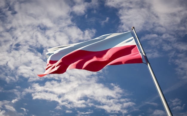 Beau drapeau national de la Pologne flottant sur le ciel bleu