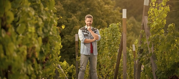 Beau fermier barbu dans le domaine viticole de la ferme viticole