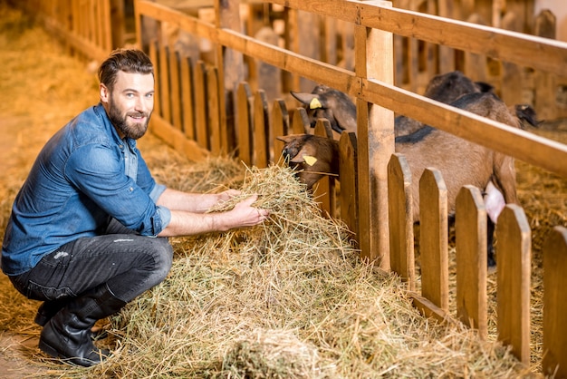 Beau fermier en vêtements de travail nourrissant des chèvres avec du foin dans la grange