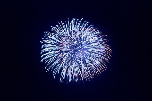 Beau feu d'artifice sur le ciel noir