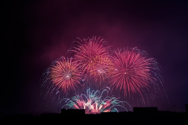 Un beau feu d'artifice coloré salue le ciel nocturne.