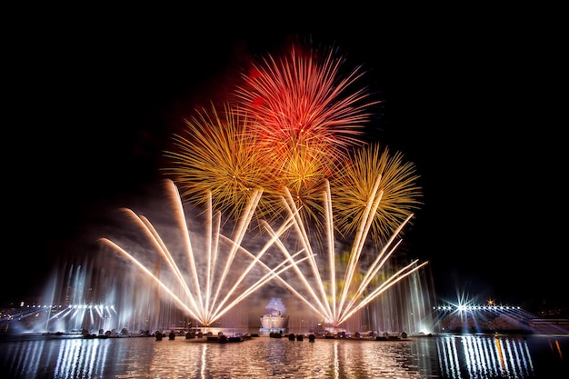 Beau feu d'artifice dans le ciel nocturne