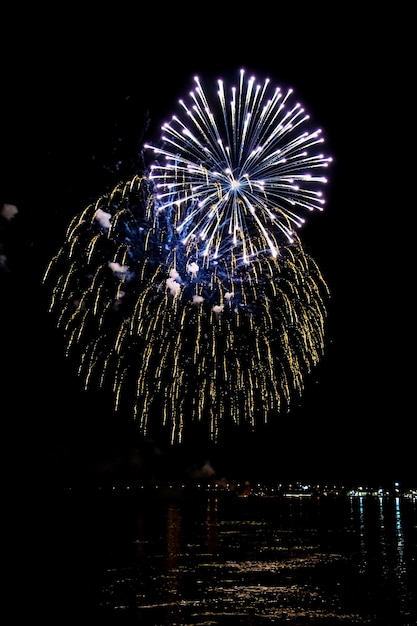 Beau feu d'artifice festif dans le ciel nocturne