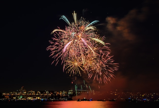 Beau feu d'artifice. feux d'artifice colorés.