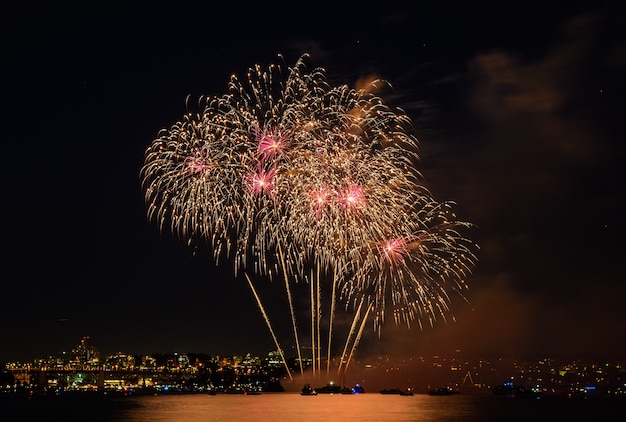 Beau feu d'artifice. feux d'artifice colorés.