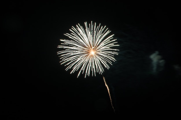 Beau feu d'artifice pour la célébration