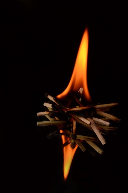 Beau Feu Gros Plan Isolé Sur Fond Noir