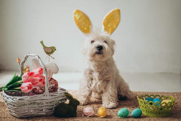 Beau fils et mère heureux dans des bandeaux avec des oreilles de lapin décorent des œufs avec un pinceau et des peintures lumineuses se préparent à célébrer Pâques s'amuser à la maison