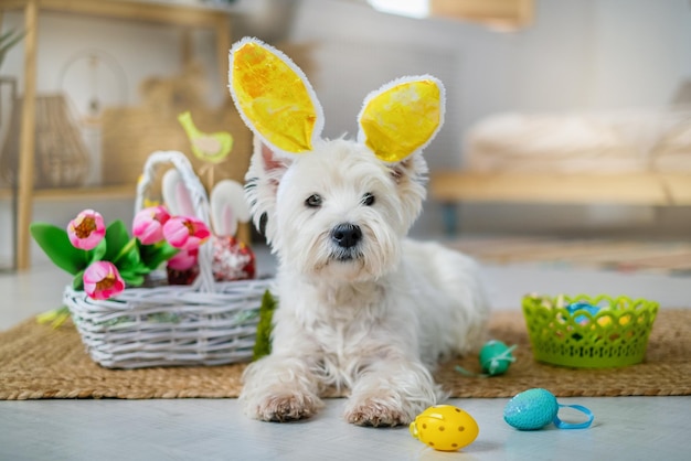 Beau fils et mère heureux dans des bandeaux avec des oreilles de lapin décorent des œufs avec un pinceau et des peintures lumineuses se préparent à célébrer Pâques s'amuser à la maison
