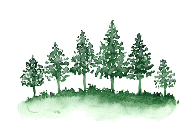 Beau fond d'aquarelle avec la forêt et l'herbe vertes de sapins conifères