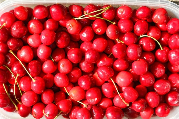 Un beau fond de cerise douce sur la nature dans le jardin du parc