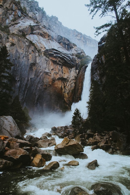 Beau fond d'écran nature pour vous