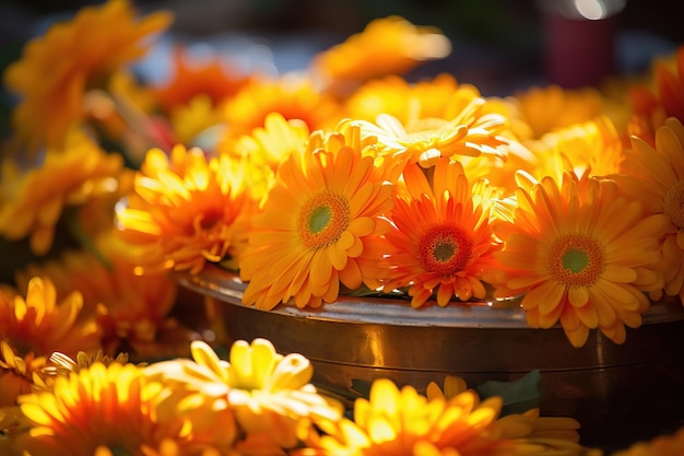 Beau fond de fleurs de calendula orange vif