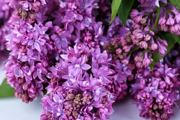 Beau fond de fleurs lilas