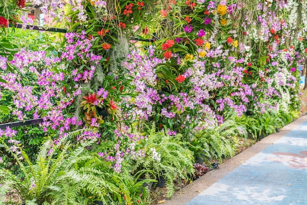 Beau fond de fleurs