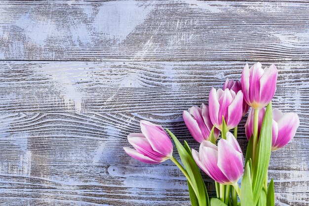 Beau fond floral avec des fleurs de tulipes fraîches sur des planches de bois