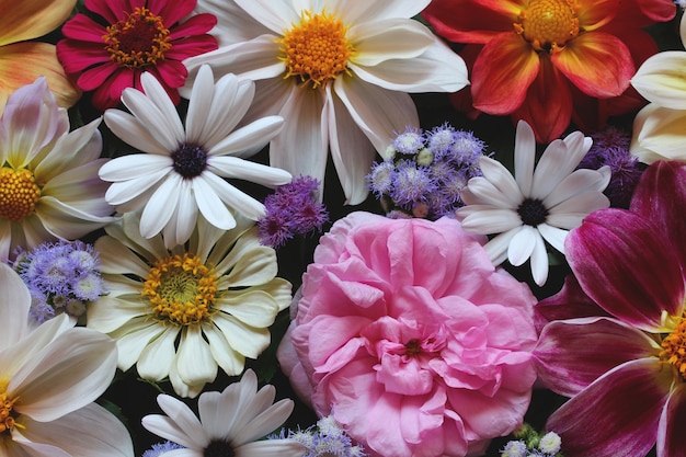 Beau fond floral, vue de dessus. bouquet de jardin d'été.