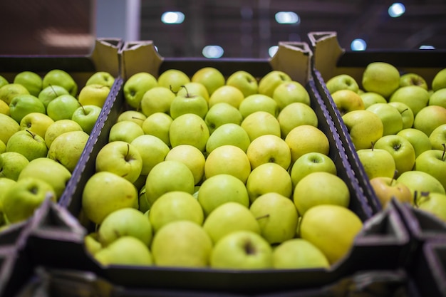 Beau fond de fruits avec des pommes vertes et jaunes dans une boîte en carton.