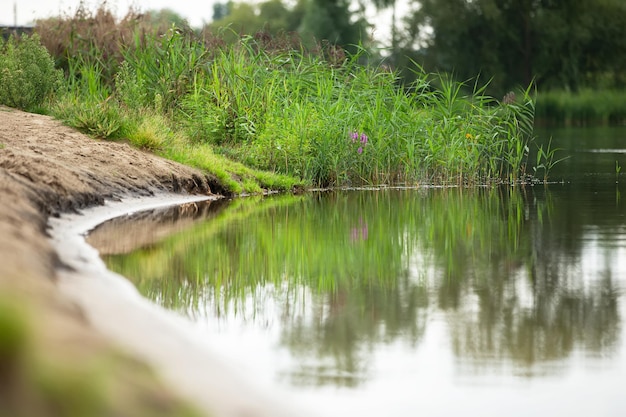 Beau fond avec un lac et de l'herbe