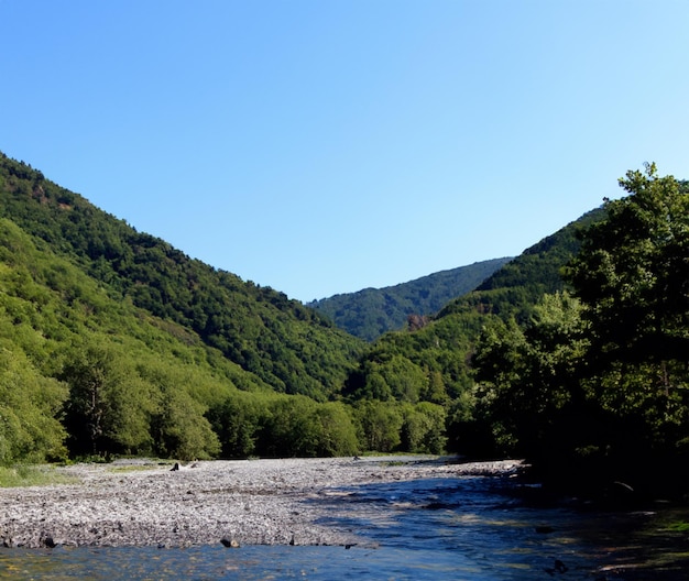 Beau fond de la rivière