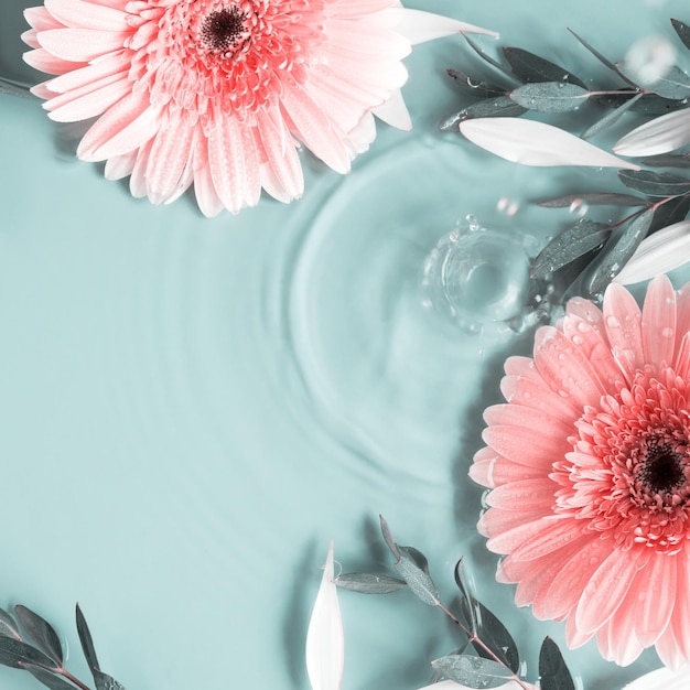 Photo beau fond vert de beauté d'été avec des marguerites roses de gerbera dans l'eau