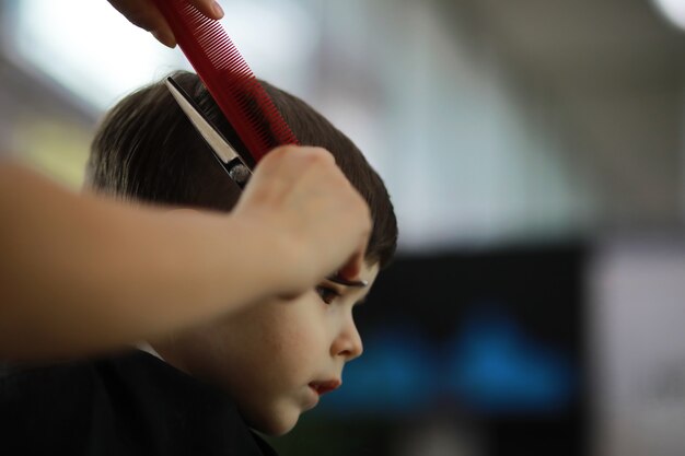 Beau garçon se faisant couper les cheveux et la barbe au salon de coiffure, vue arrière du salon de coiffure