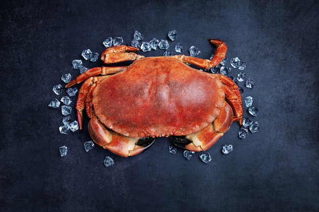 Beau gâteau de crabe découpé sur une table noire