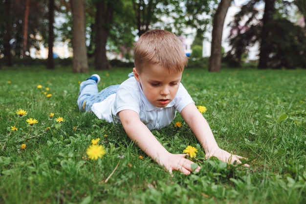 Beau gosse blond mignon garçon allongé dans l'herbe dans un champ de fleurs avec des pissenlits