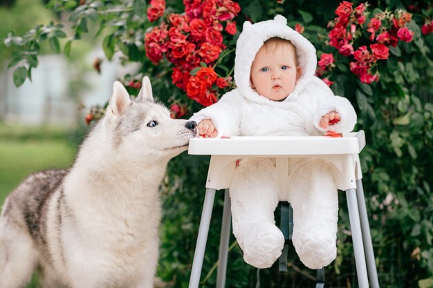 Beau gosse en costume d'ours assis sur une chaise haute et jouant avec un beau chiot.