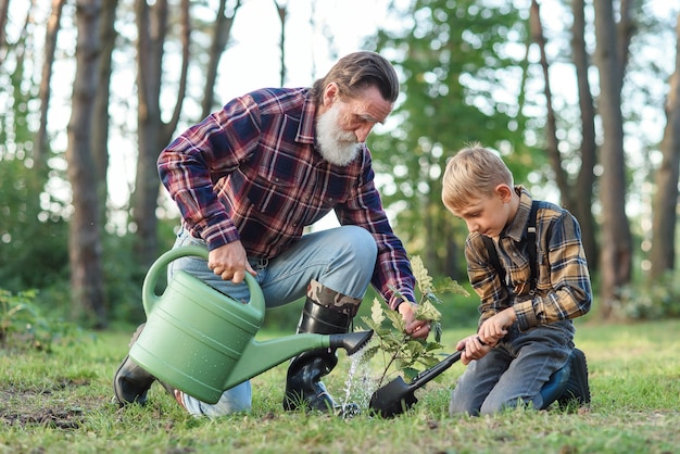 Beau grand-père barbu avec son charmant petit-fils sur la pelouse verte plantant des semis de chêne et verser de l'eau.