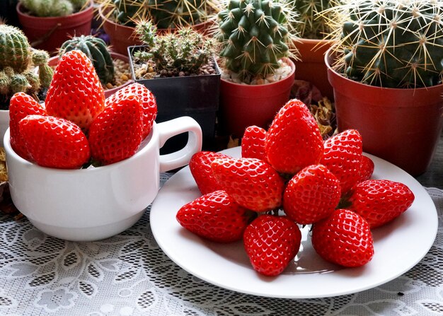 Beau groupe fraise rouge fraîche et fond de cactus et de succulentes