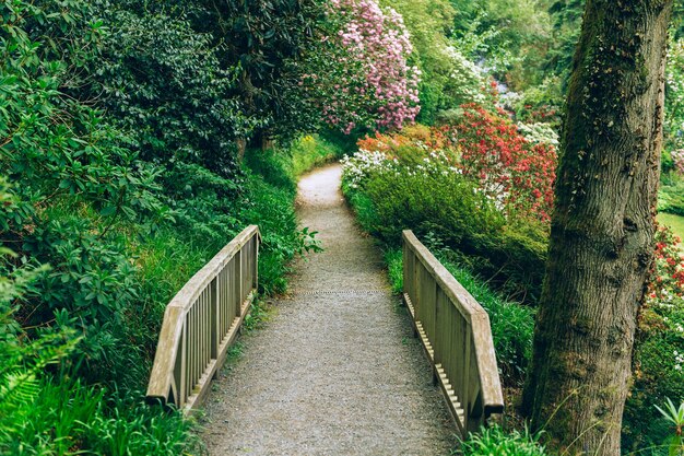 Beau jardin avec des arbres en fleurs au printemps