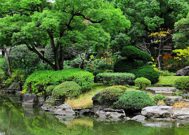 Beau jardin au Japon