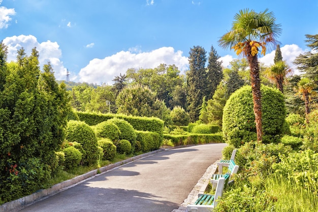 Beau jardin au palais célèbre de Livadia en Crimée Russie