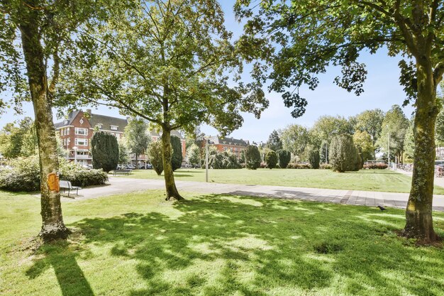 Beau jardin devant l'immeuble