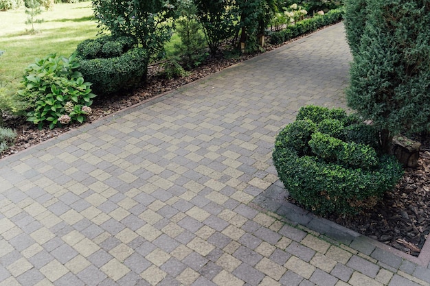 Beau jardin d'été avec une allée serpentant à travers