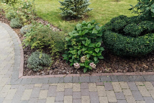 Beau jardin d'été avec une allée serpentant à travers