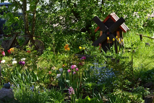 Beau jardin en face de la maison