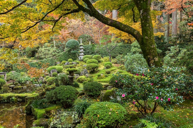 Beau jardin japonais en automne