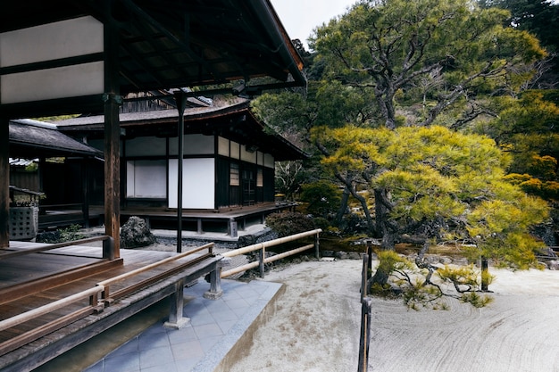 Photo beau jardin japonais