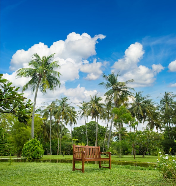 Photo beau jardin tropical avec palmiers