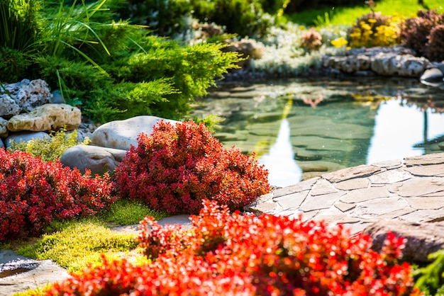 Beau jardin avec une végétation vibrante