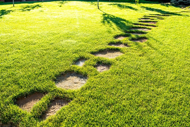 Beau jardin avec une végétation vibrante