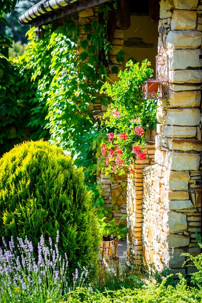 Beau jardin avec une végétation vibrante