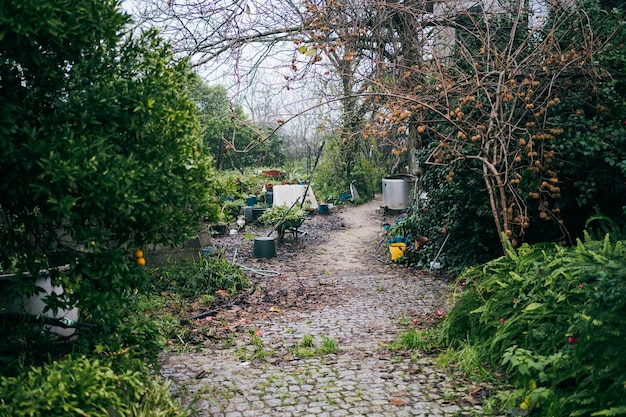 Beau jardin verdoyant avec chemin pavé par temps nuageux