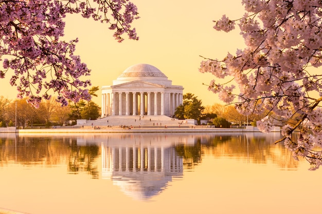 Beau Jefferson Memorial tôt le matin